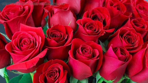Hd videos, bangladeshi